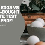 Fresh Eggs vs Store-Bought A Taste Test Challenge!