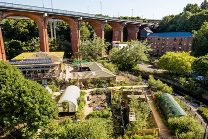 The Art of Urban Gardening With Small Space And Big Yield