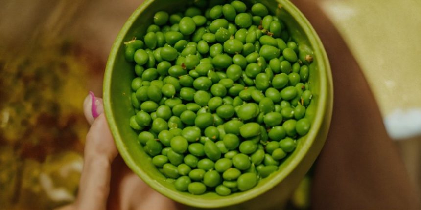ABCs and Garden Peas: How Growing Peas Teaches Kids Key Skills