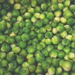 Get Growth with Ideal Companion Plants for Brussels Sprouts