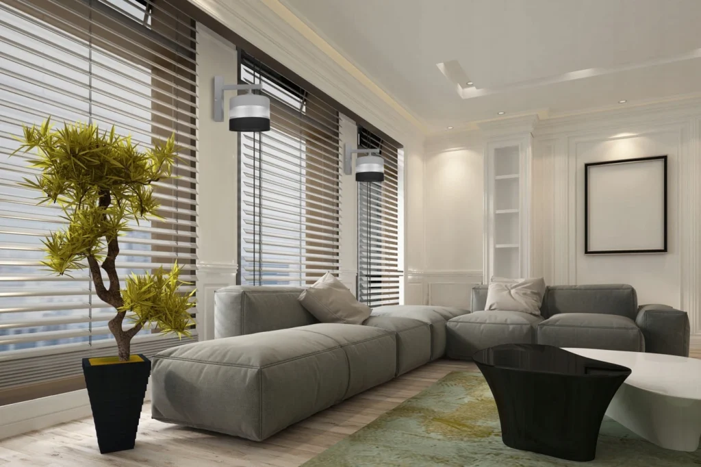Blinds and Curtains
